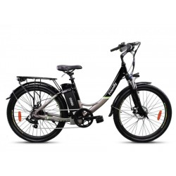 E-bike Friendly 3.2 250W 10.4AH Disco